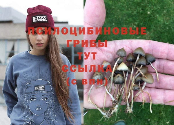 мдма Дмитровск