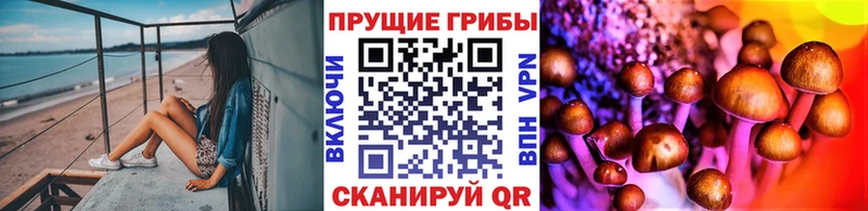Псилоцибиновые грибы MAGIC MUSHROOMS  где продают наркотики  Протвино 