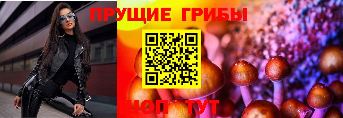 Псилоцибиновые грибы ЛСД Протвино